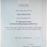 Rejuvenating Surgery of the Face 2011